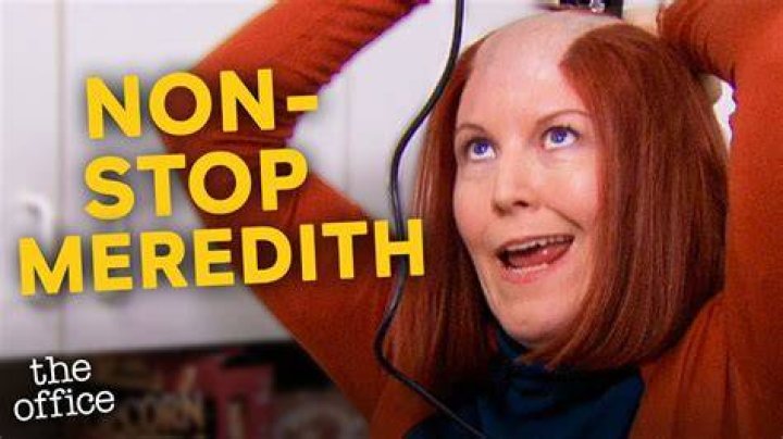 What did Meredith get fired from The Office?